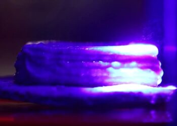 Надрукуй обід: 3D-принтер виготовив 3 страви з 14 інгредієнтів