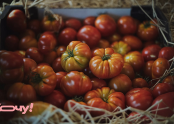 Не замораживайте и не сушите: с этим трюком помидоры останутся свежими на месяцы