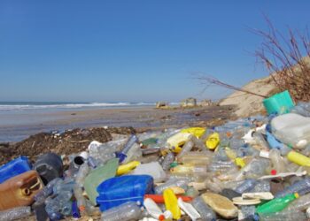 Новий каталізатор переробляє пластик без сортування та очищення