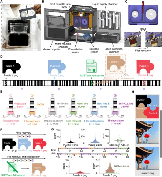 Петабайти на метр: прототип "касетної плівки" на базі ДНК створили в Китаї