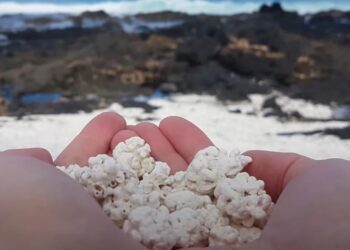 Пісок з “попкорну”: на Канарських островах є незвичайний пляж, який вражає туристів