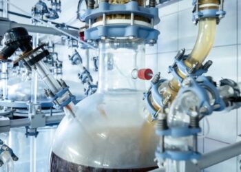 Похмуре майбутнє: зустрічайте їстівний пластик, вироблений чорними грибками зі сміття