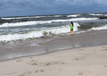 Прощавай, Італіє: північні моря Європи швидко нагріваються