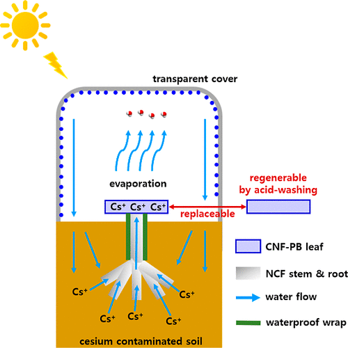 &ldquo;Штучна рослина&rdquo; на сонячній енергії очищує радіоактивний ґрунт на 95% за 20 днів