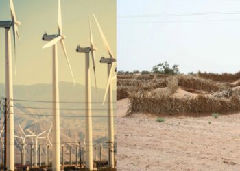 Стримуватимуть пустелю: відпрацьовані лопаті вітрових турбін знайшли друге життя в Китаї