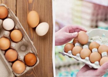 Тільки один вид яєць треба тримати в холодильнику: просте правило зберігання