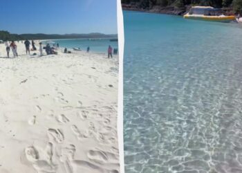 Турист відвідав “найкращий пляж у світі” і був здивований тим, що там знайшов (відео)