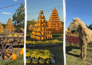 В “Добропарку” під Києвом з’явилася грандіозна гарбузова локація (фото, відео)