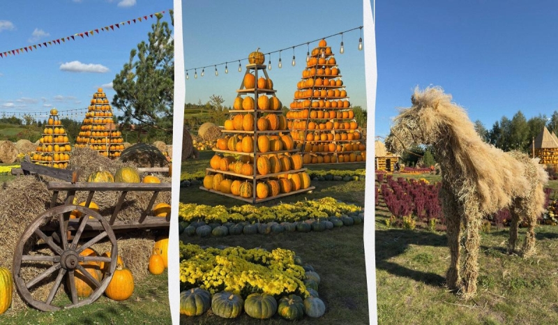 В "Добропарку" під Києвом з'явилася грандіозна гарбузова локація (фото, відео)