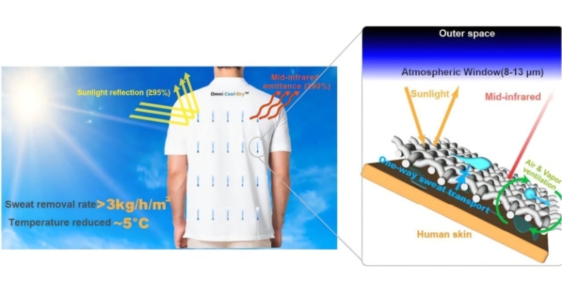 Вдягнутися, щоб охолонути: вчені переосмислюють одяг через зростання спеки