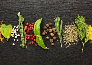 Все идеальные комбинации приправ: шпаргалка, с которой ваши блюда станут фантастически вкусными