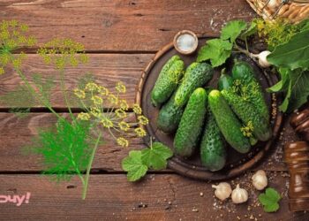 Забыли о крепе, но уже все приготовили? Чем его заменить при консервации огурцов и помидоров