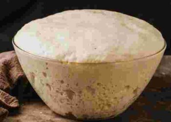 Основа всього: навіщо готувати опару і які бувають її види