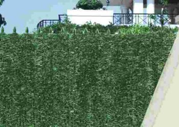 Природна огорожа без витрат: з чого зробити паркан для саду