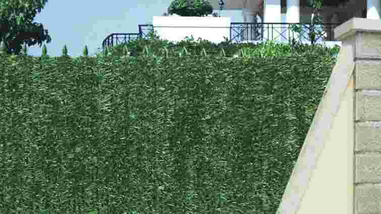 Природна огорожа без витрат: з чого зробити паркан для саду