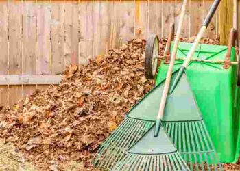 Плануйте свій час: посівний календар садово-городніх робіт на жовтень 2025 року