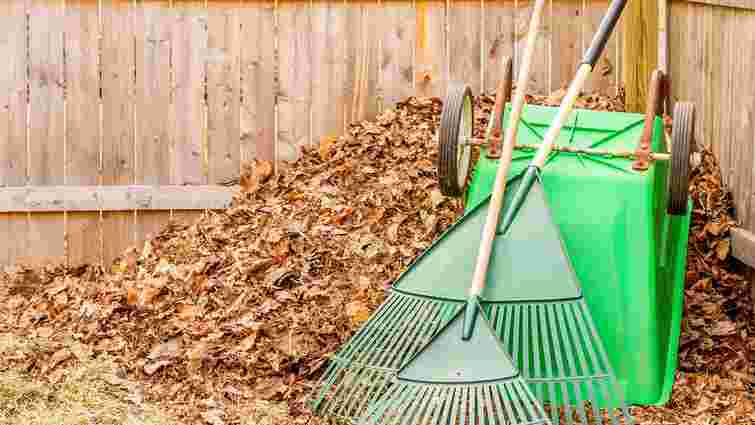 Плануйте свій час: посівний календар садово-городніх робіт на жовтень 2025 року