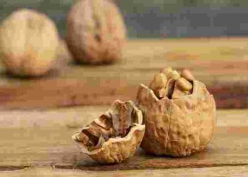Ядра і пальці лишаться цілими: як швидко почистити волоські горіхи