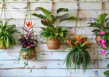 Позбудетеся зайвих клопотів: які рослини можна залишити в саду на зиму