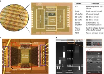 2D-пам’ять вперше інтегрували у звичайний мікрочип: шлях до надзвичайно заощадливих та потужних процесорів