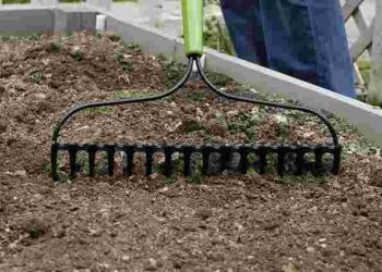 Родючість буде значно вищою: що треба обовʼязково зробити з ґрунтом восени