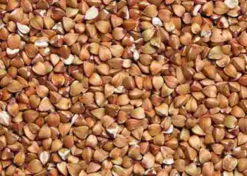 Багато хто з вас помилявся: чи справді потрібно мити гречку перед варінням