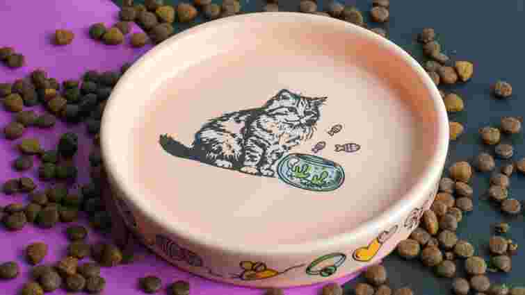 Це обовʼязково: як часто слід мити миски для їжі домашніх улюбленців