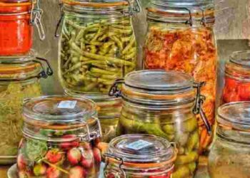 Як квашені овочі підтримують імунітет, поліпшують травлення і зменшують запалення