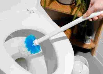 Накопичує мільйони бактерій: як часто потрібно замінювати щітку для унітаза