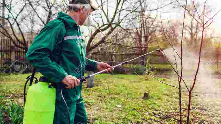 Важливо не переборщити: як і коли треба обприскувати дерева залізним купоросом