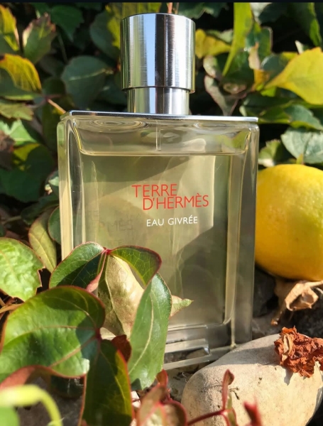 8 чудових чоловічих ароматів на будь-який смак: деревні, пряні та свіжі