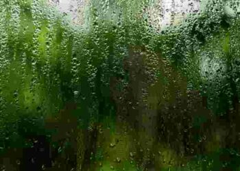 Приберете конденсат з вікон за одну ніч: використайте один інгредієнт