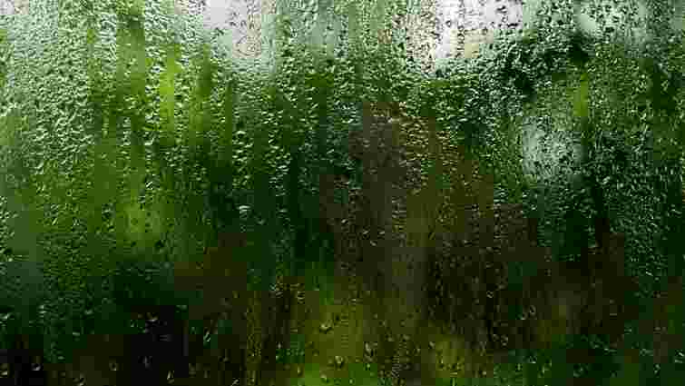 Приберете конденсат з вікон за одну ніч: використайте один інгредієнт