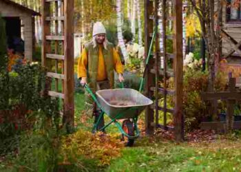 Що потрібно встигнути зробити в саду у жовтні