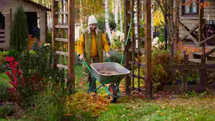 Що потрібно встигнути зробити в саду у жовтні