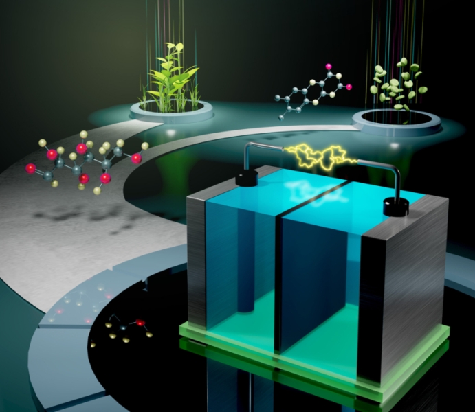 Батарейка на глюкозі та B2 імітує живлення людського організму