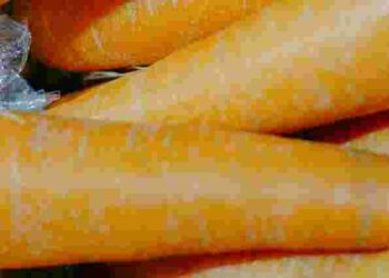 Морква не втратить яскравий колір: що треба додати під час варіння