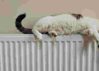 Щоб опалення працювало не дарма: як спустити повітря з радіаторів