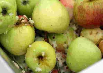 Ця осіння помилка знищить ваш сад: що робити з гнилими яблуками