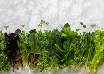 Чем залить зелень, чтобы сохранить вкус во всю зиму: хитрый способ