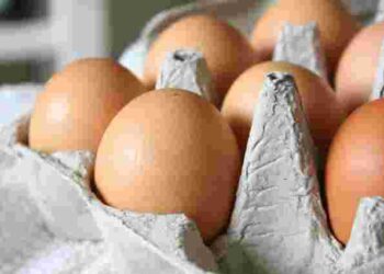 Дуже несподівані варіанти: чим можна замінити яйця в котлетах