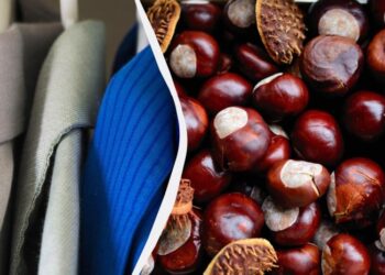 Два-три каштани в шафу – і багаторічна проблема вирішиться сама собою: про що йдеться