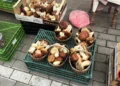 Грибы на базаре – зона опасности: что спросить у продавца, чтобы быть уверенным