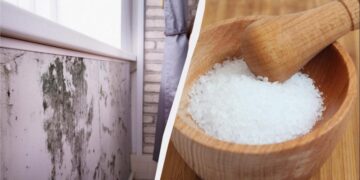 Якщо у квартирі холодно і сиро без опалення: як прибрати вологу народними засобами