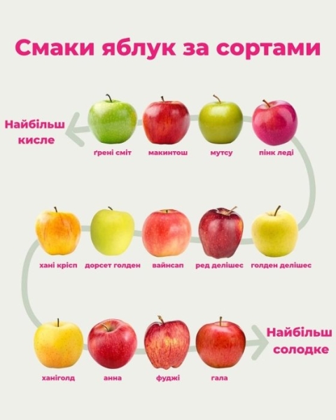 Как выбрать идеальные яблоки: самые сладкие и кислые сорта (ШПАРГАЛКА)