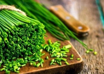 Лучший способ хранения зелени на зиму: без заморозки и консервации