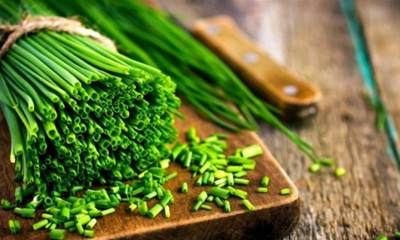 Лучший способ хранения зелени на зиму: без заморозки и консервации