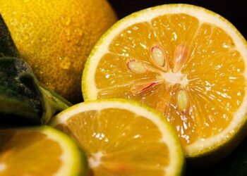 С тонкой или толстой кожурой: как найти лучшие лимоны в супермаркете