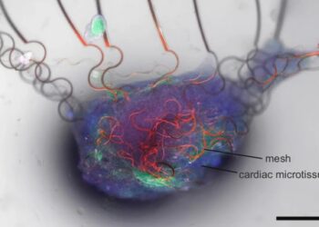 Штучний нейрон поводиться як справжній: ті ж реакції, розмір та споживання