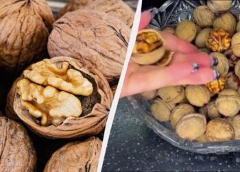 Українка показала, як почистити гору горіхів за 3 хвилини: шкаралупа відлетить сама